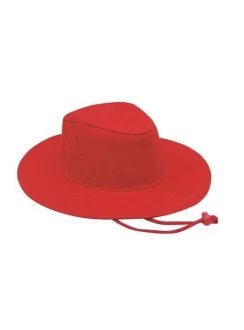 Wide Brim Hat