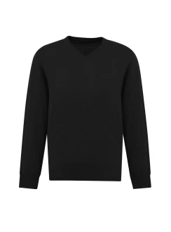 Roma Mens Pullover by Biz Collection